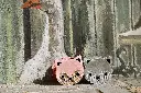 YB-100-034_Gaspard-rose_x.webp