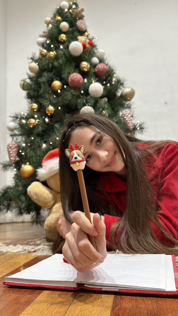 YB-600-043_Presentoir de 60 stylos de noel_p.webp