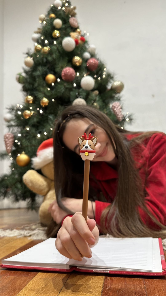 YB-600-043_Presentoir de 60 stylos de noel_o.webp