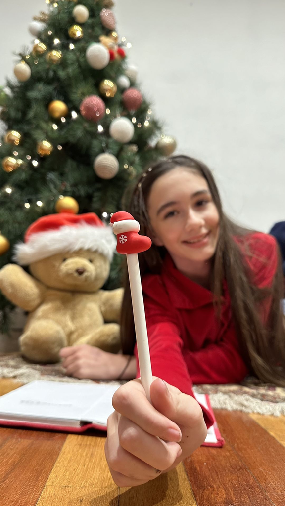 YB-600-043_Presentoir de 60 stylos de noel_e.webp