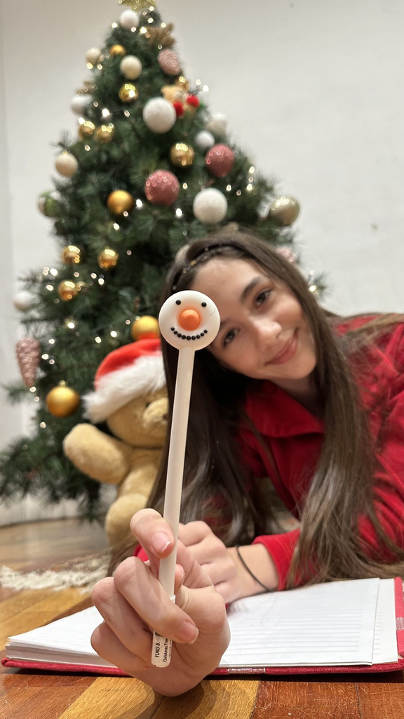 YB-600-043_Presentoir de 60 stylos de noel_n.webp